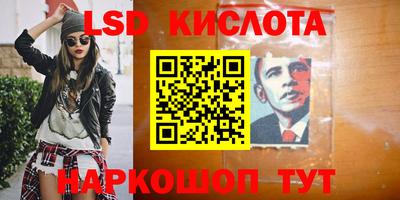 индика Будённовск