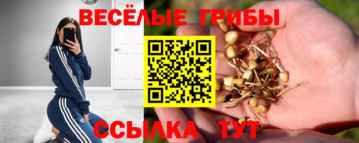 Воскресенск  Псилоцибиновые грибы GOLDEN TEACHER  Вход с VPN  Галлюциногенные грибы Cubensis 